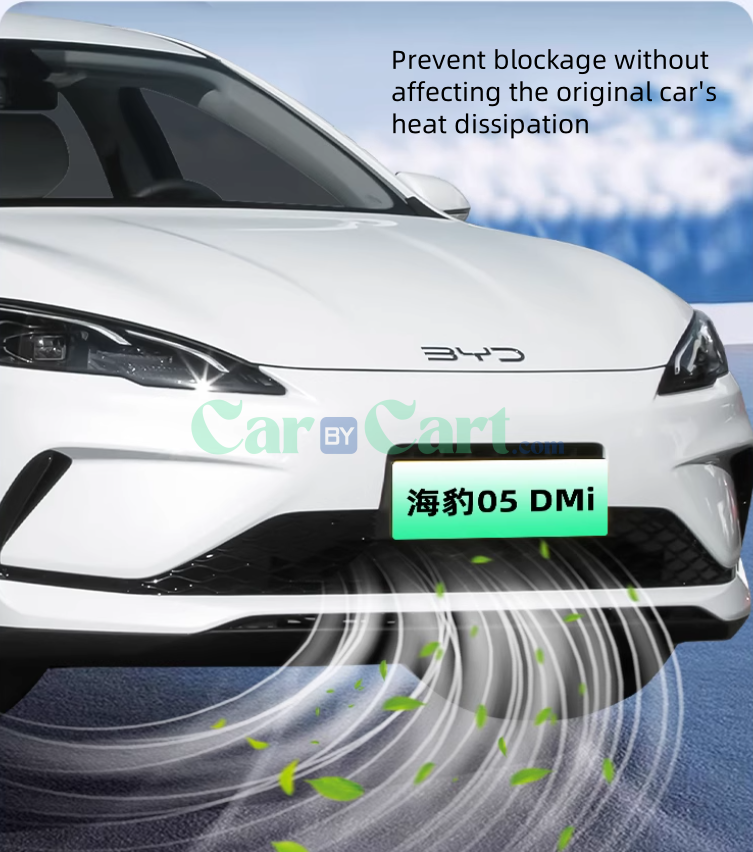 2025 BYD Seal 05DM-i Smart Complete set of carbon fiber patterned insect proof mesh