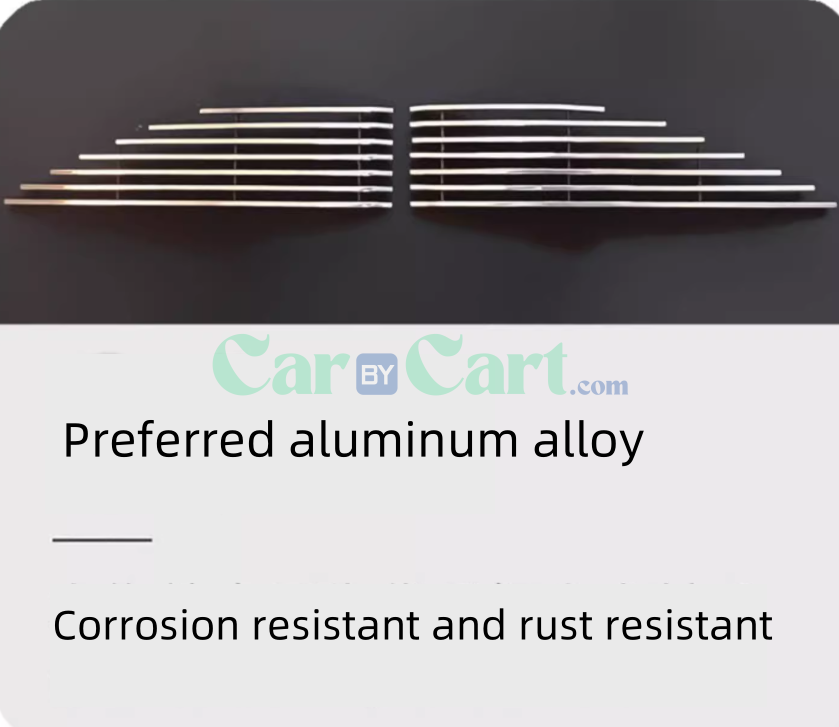 2025 BYD Sea Lion 07EV Black insect proof net