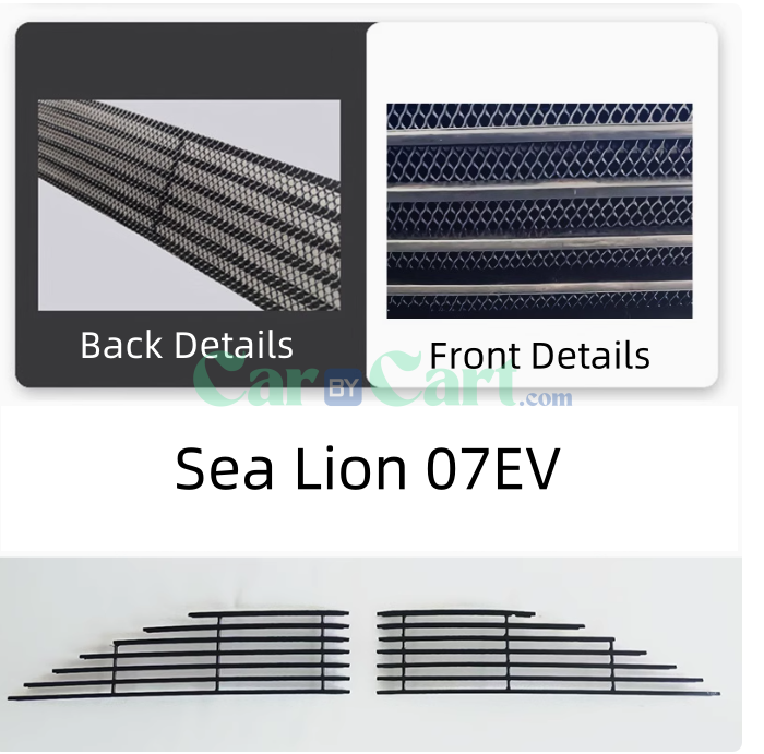 2025 BYD Sea Lion 07EV Black insect proof net