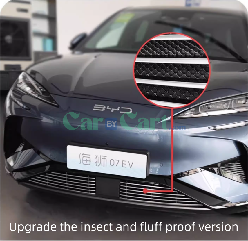 2025 BYD Sea Lion 07EV Black insect proof net