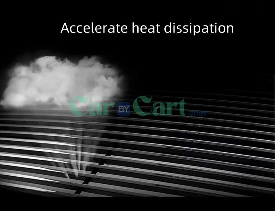 2025 BYD Sea Lion 07EV Black insect proof net