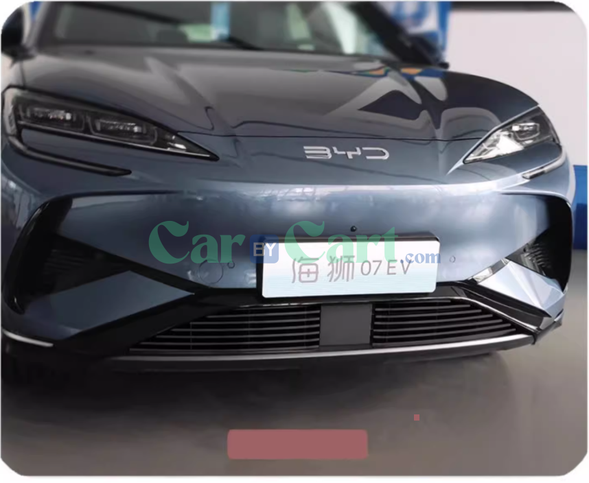 2025 BYD Sea Lion 07EV Black insect proof net