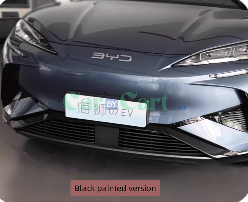 2025 BYD Sea Lion 07EV Black insect proof net
