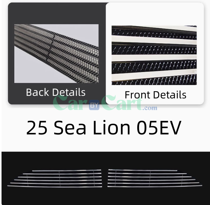 2025 BYD Sea Lion 05EV Silver insect proof net