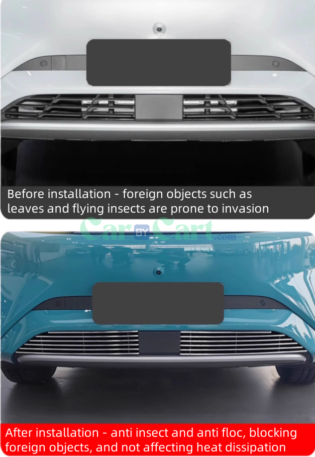 2025 BYD Sea Lion 05EV Silver insect proof net