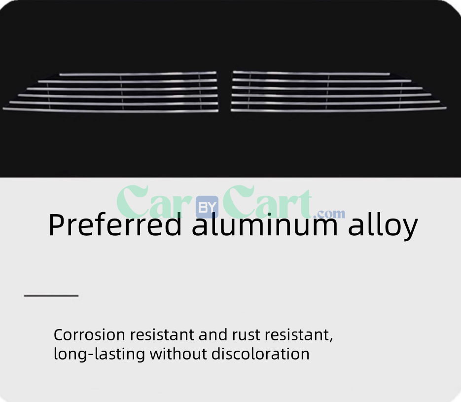 2025 BYD Sea Lion 05EV Silver insect proof net