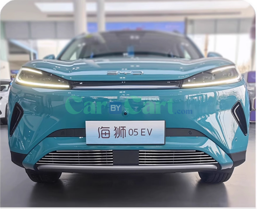 2025 BYD Sea Lion 05EV Silver insect proof net