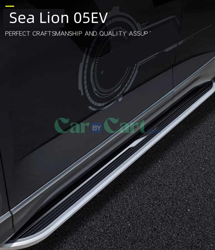 2025 BYD Sea Lion 05EV President's pedal