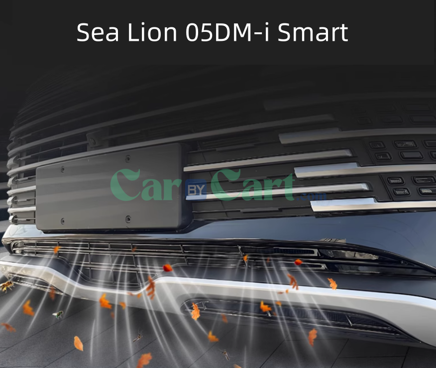 2025 BYD Sea Lion 05DM-i Smart Carbon fiber pattern insect proof mesh