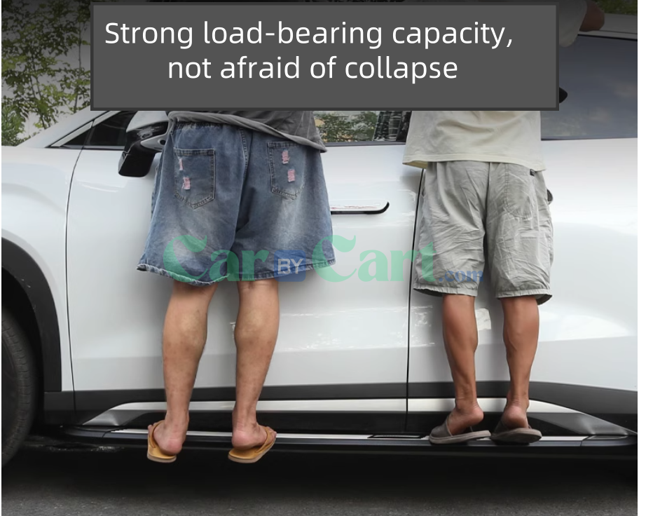 2025 BYD Sea Lion 05DM-i Smart Zunyao style pedal