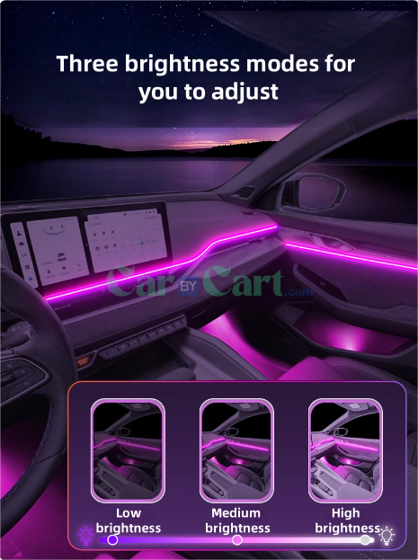 2025 XingRui L Atmosphere Light