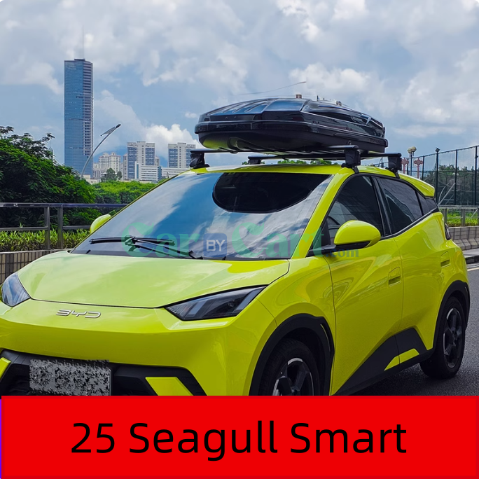 2025 BYD Seagull Smart C5B سٌقف صندوق السقف