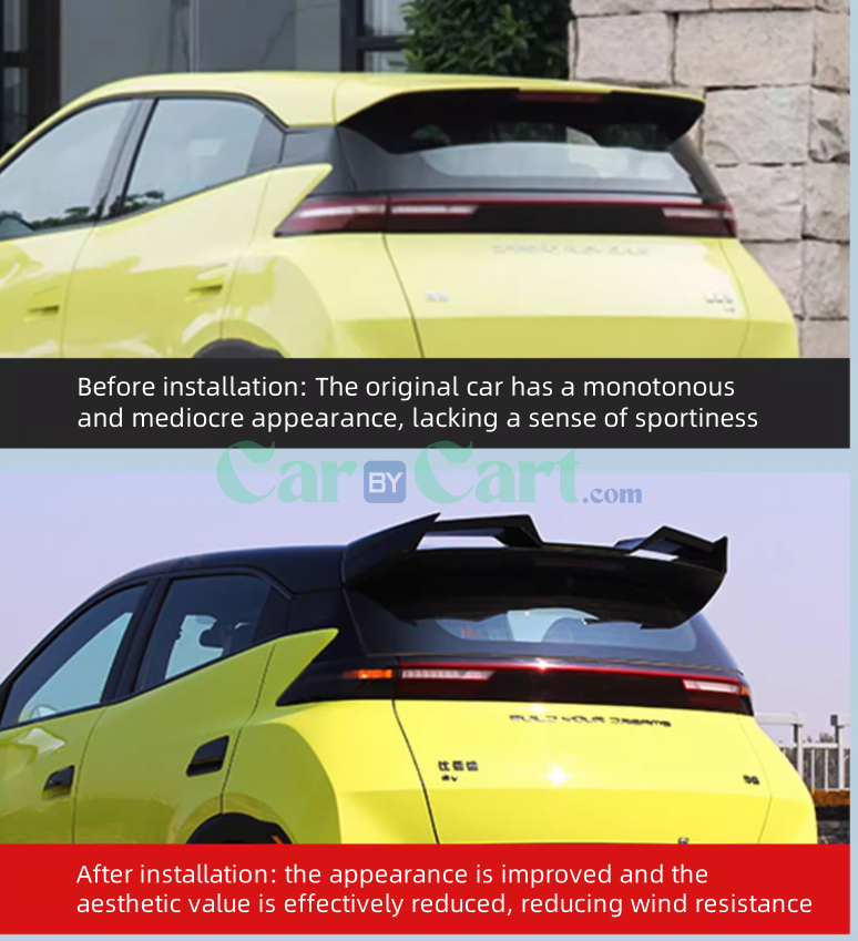 2025 BYD Seagull زكية وزعنفتها الخلفية منقوشة بألياف الكربون.