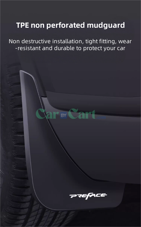 2025 XingRui L Fender