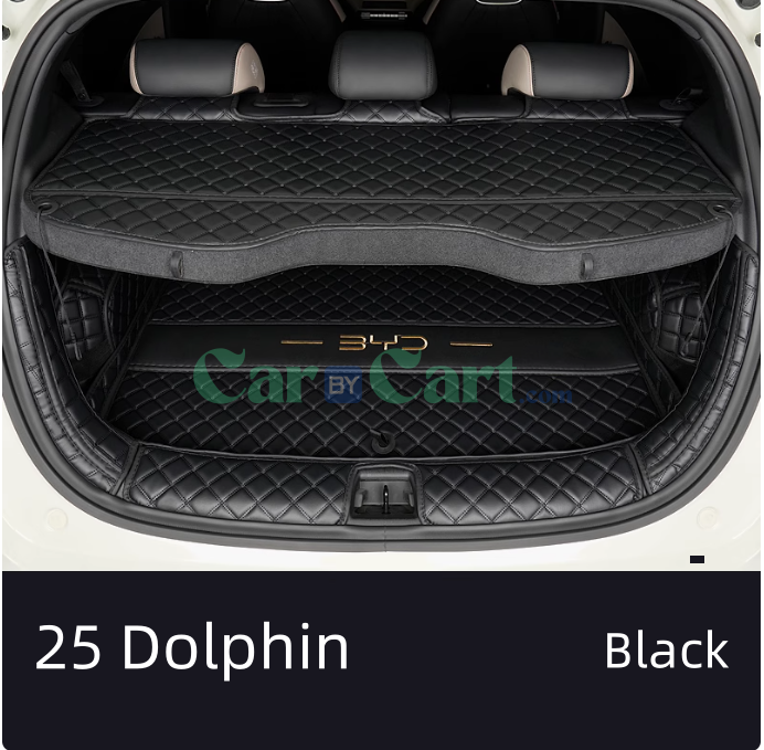 2025 BYD دولفين نابا بساط جذع من الجلد