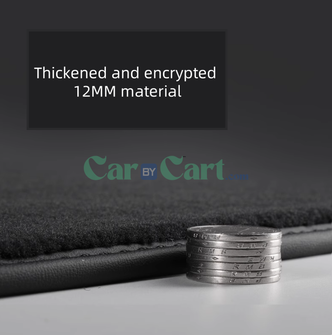 حصيرة قدم نايلون مخملية 2025 من BYD دولفين.