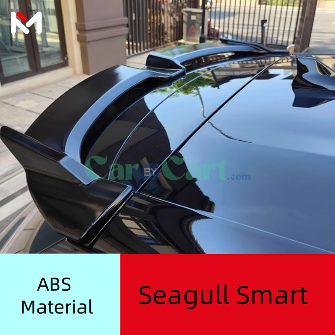 2025 BYD دولفين بزعنفة ذيل مزخرفة بألياف الكربون.