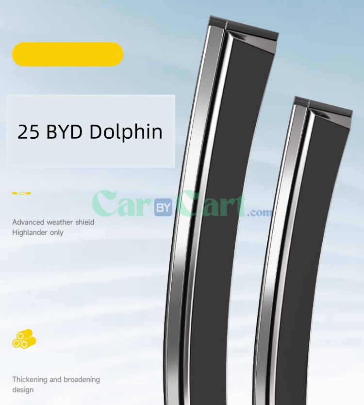 2025 بي واي دي دولفين مع عازل مطر من الجيل التاسع.