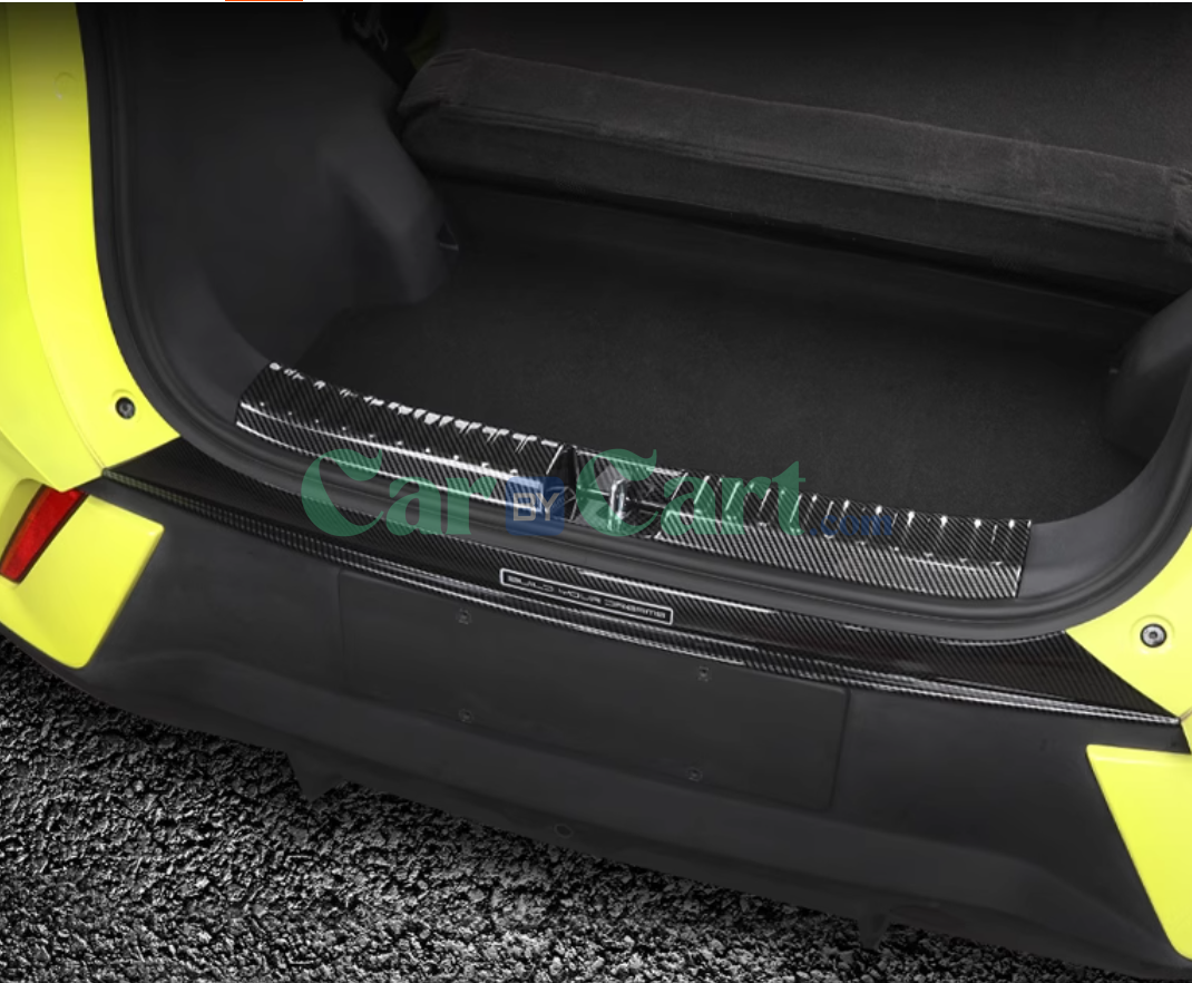 2025 بي واي دي سيجول سمارت مع لوحات واقية خلفية داخلية وخارجية.