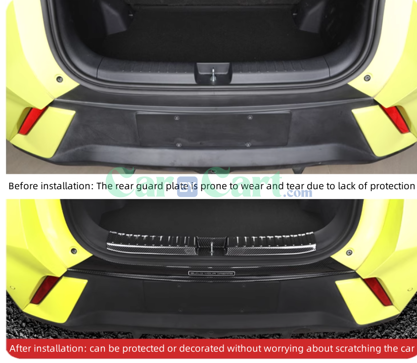 2025 بي واي دي سيجول سمارت مع لوحات واقية خلفية داخلية وخارجية.