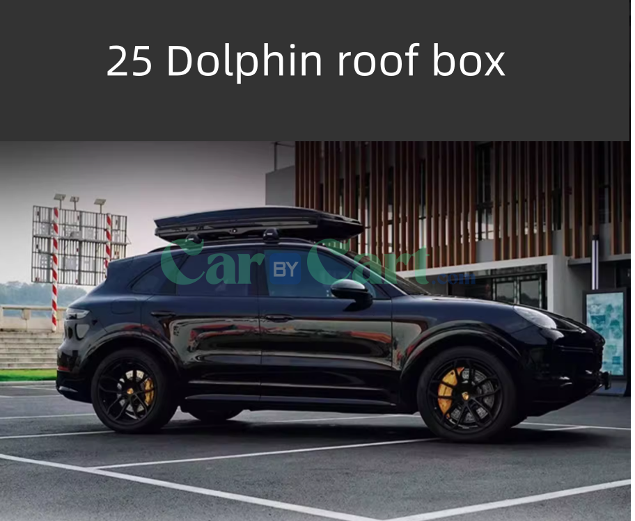 2025 بي واي دي دولفين 650 لتر سقف