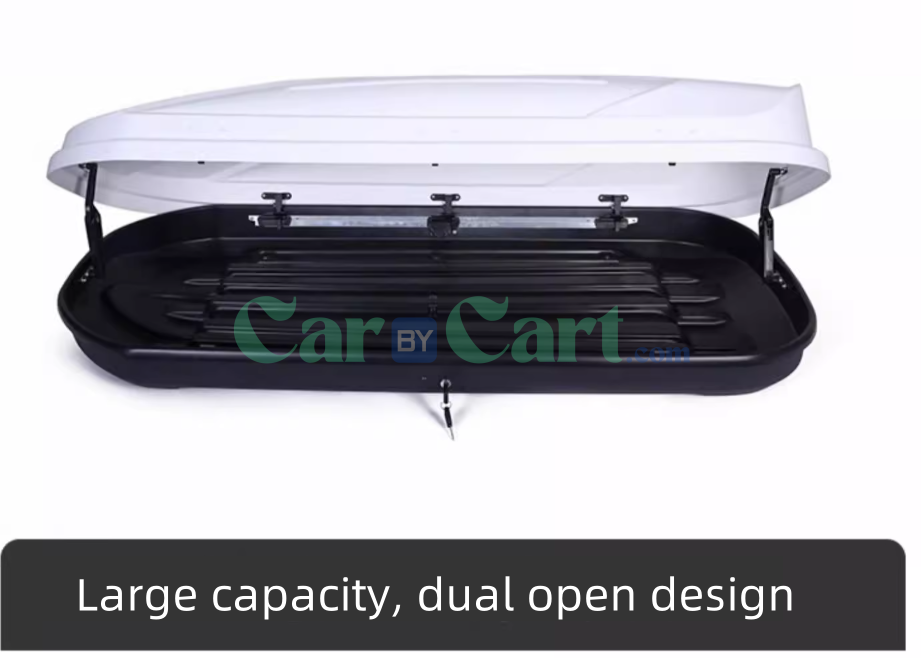 2025 BYD Dolphin 650L roof box