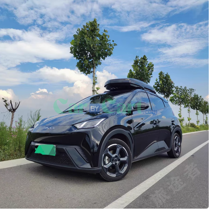 2025 BYD Dolphin 650L roof box