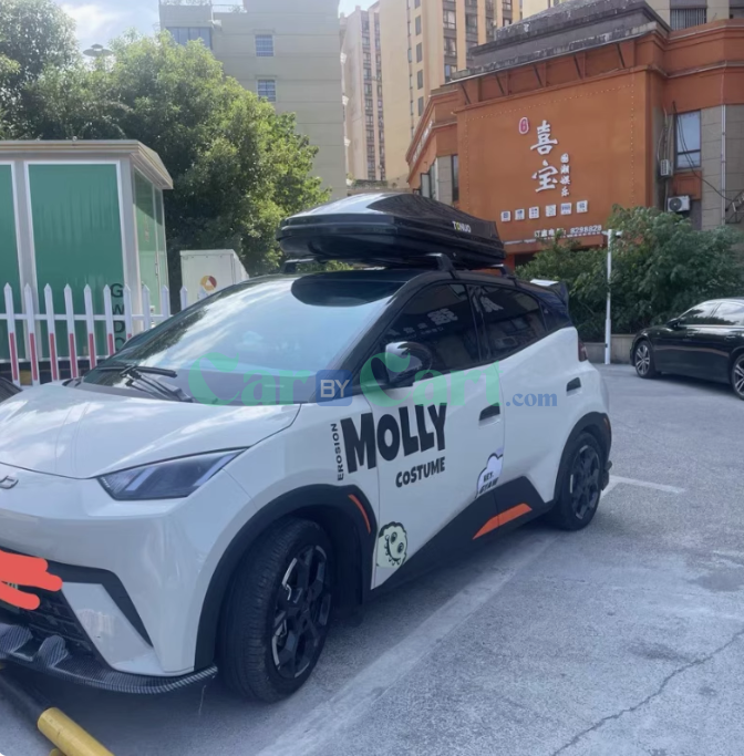 2025 BYD Dolphin 650L roof box