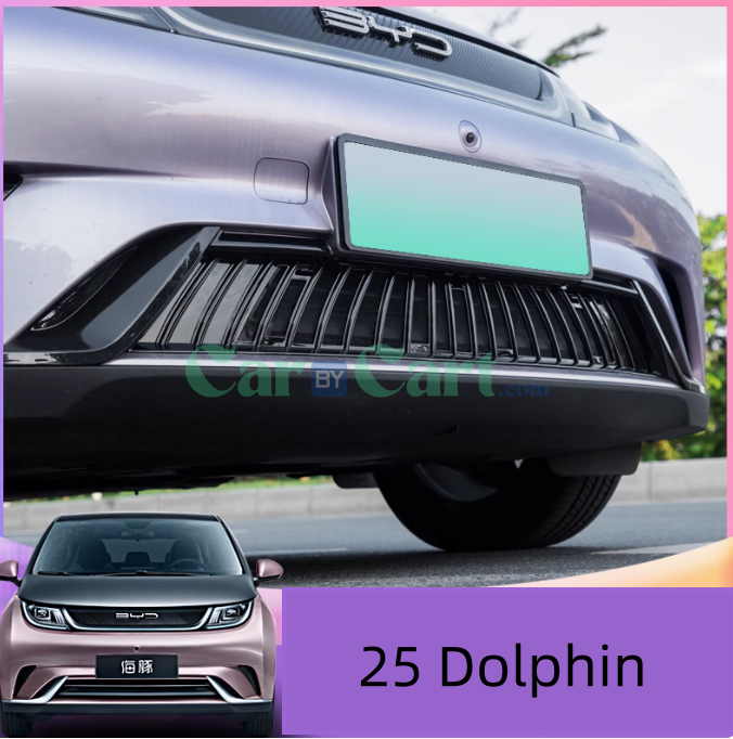 2025 بي واي دي دولفين شبكة ضد الحشرات السوداء اللامعة.