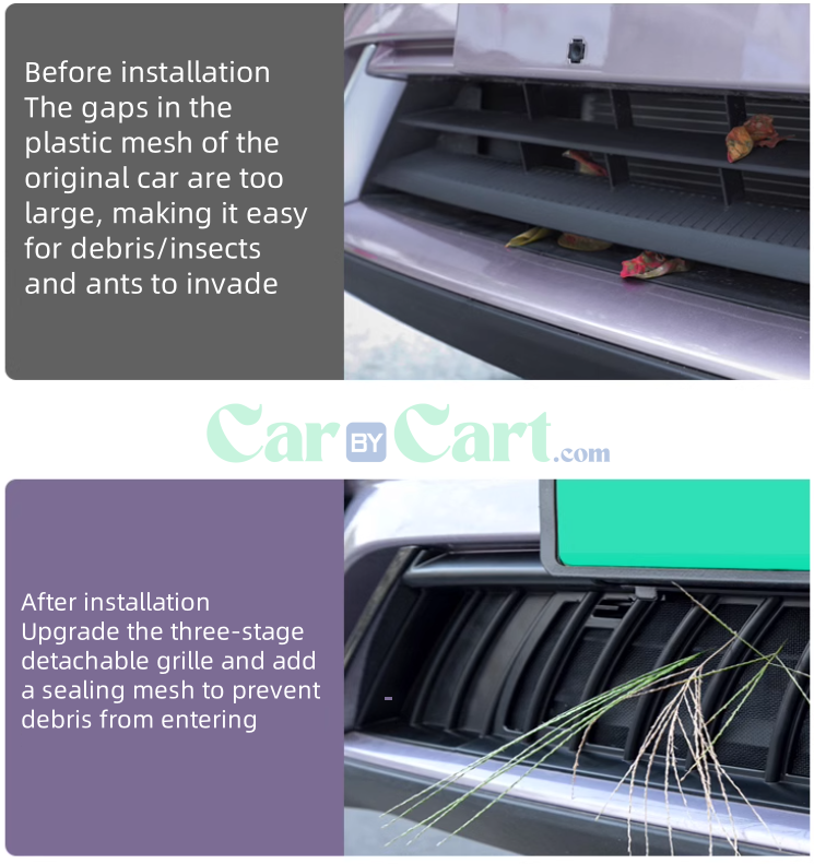2025 بي واي دي دولفين شبكة ضد الحشرات السوداء اللامعة.