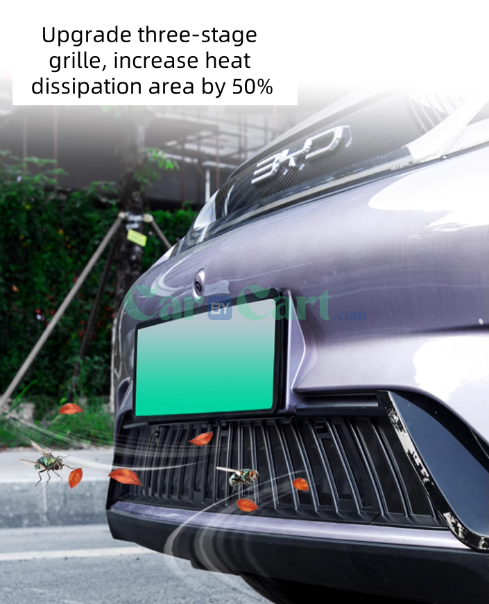 2025 بي واي دي دولفين شبكة ضد الحشرات السوداء اللامعة.