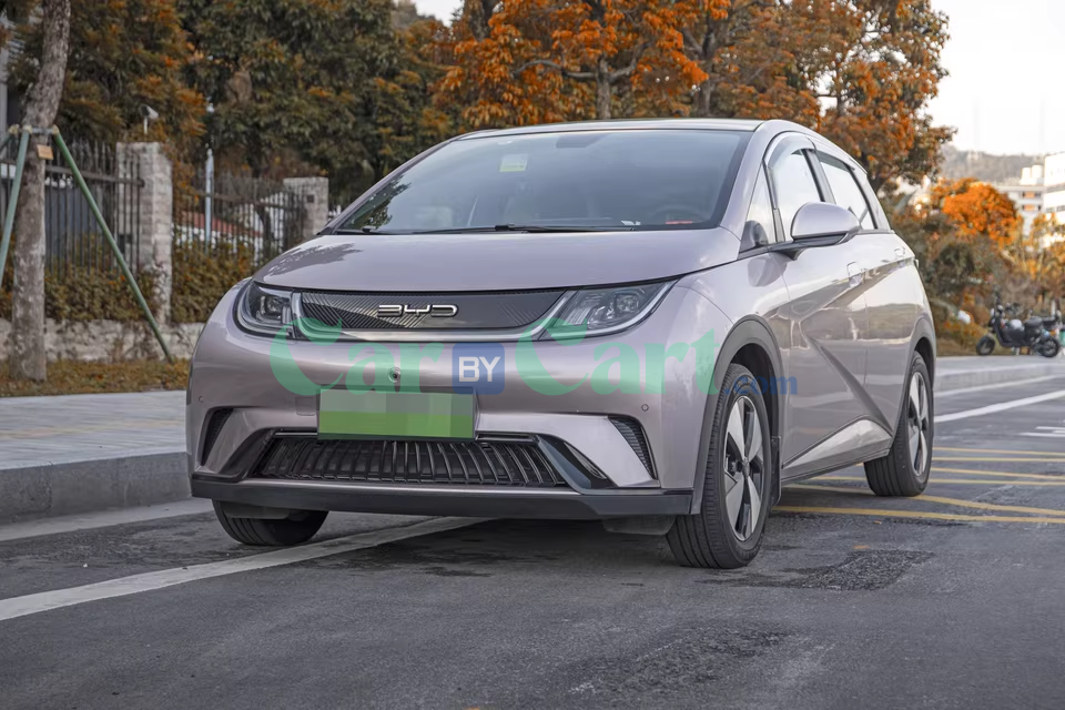 2025 بي واي دي دولفين شبكة ضد الحشرات السوداء اللامعة.