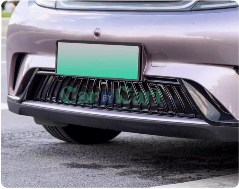 2025 بي واي دي دولفين شبكة ضد الحشرات السوداء اللامعة.