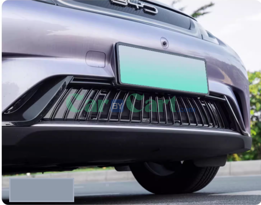 2025 بي واي دي دولفين شبكة ضد الحشرات السوداء اللامعة.