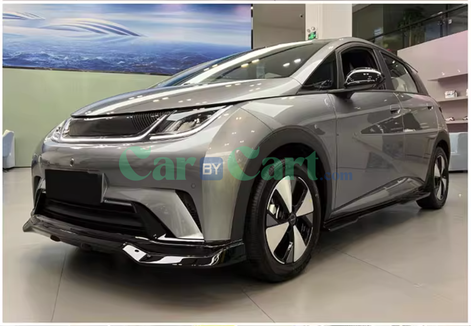 2025 BYD Dolphin Painted front lip