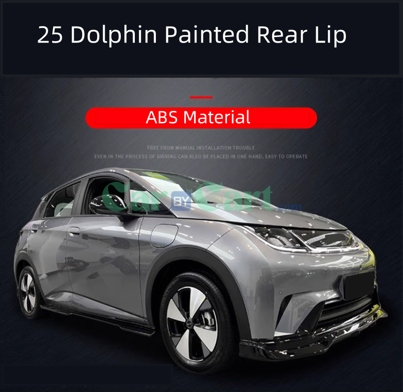 2025 بي واي دي دولفين بشفة خلفية مطلية