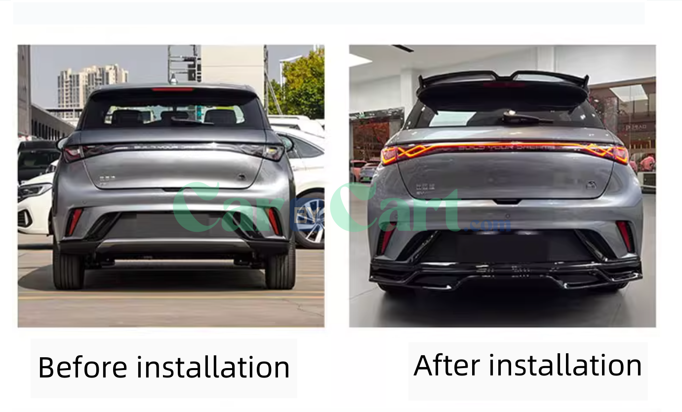 2025 بي واي دي دولفين بشفة خلفية مطلية