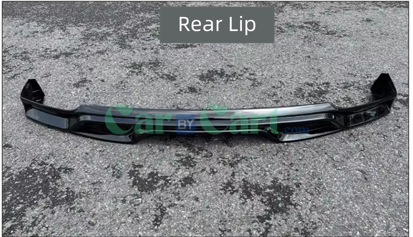 2025 بي واي دي دولفين بشفة خلفية مطلية