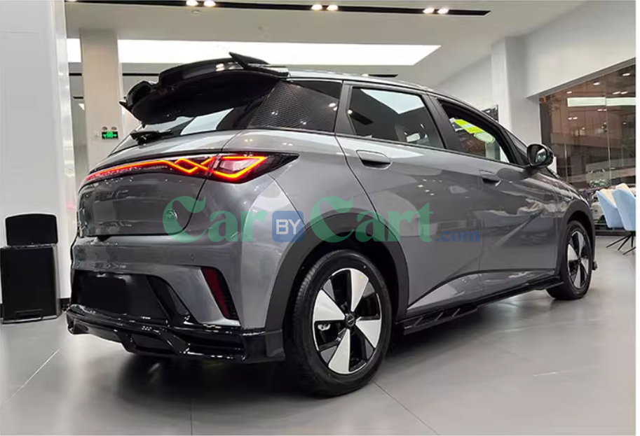 2025 بي واي دي دولفين بشفة خلفية مطلية