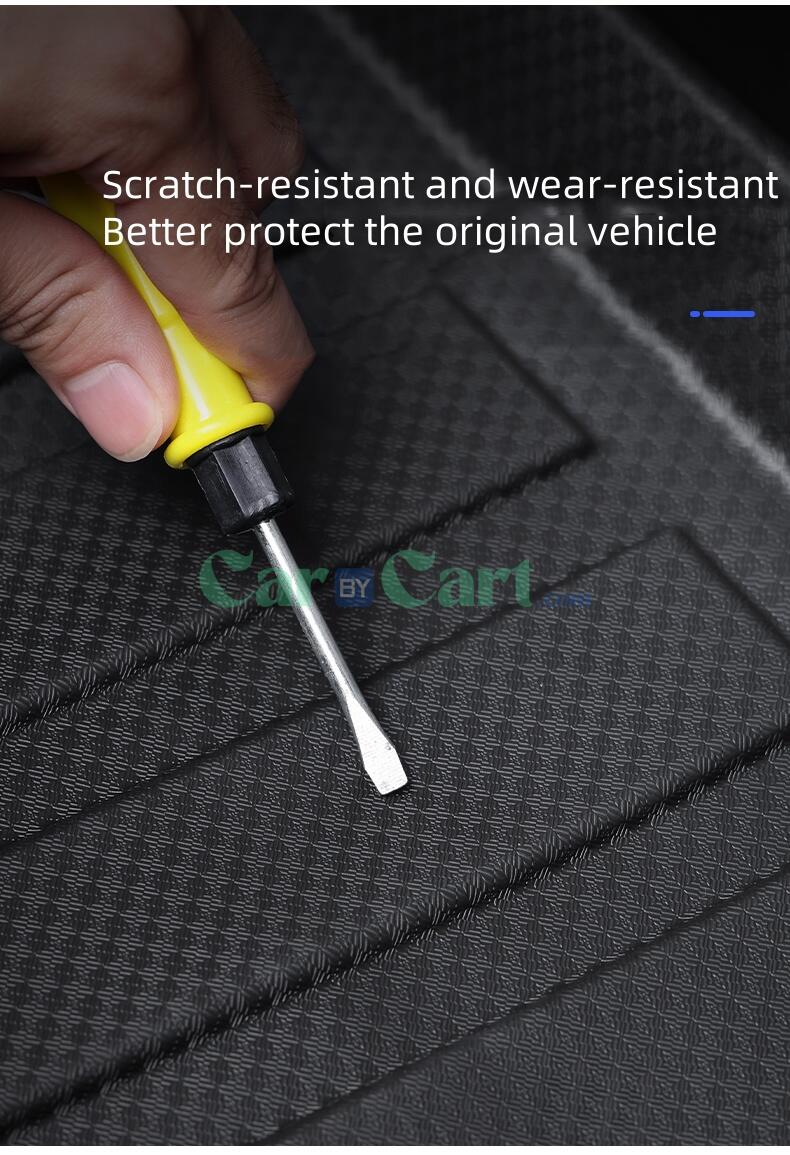 2025 ليوبارد تيتانيوم 3 TPE مع صندوق أمامي.