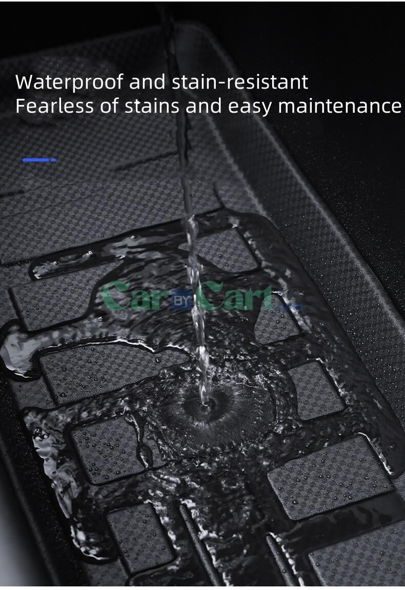 2025 ليوبارد تيتانيوم 3 TPE مع صندوق أمامي.