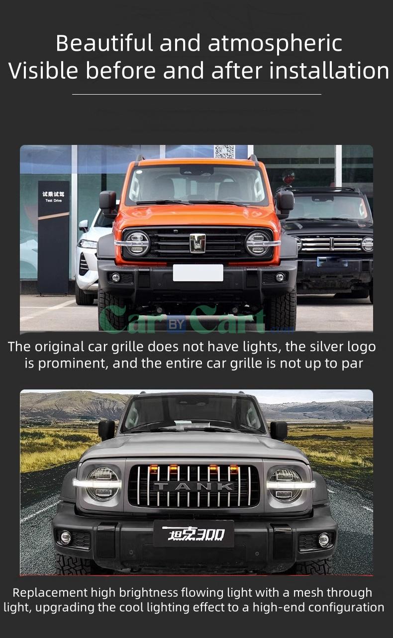 شبكة أمامية 2025 تانك 300 HIT-4 للأوف رود