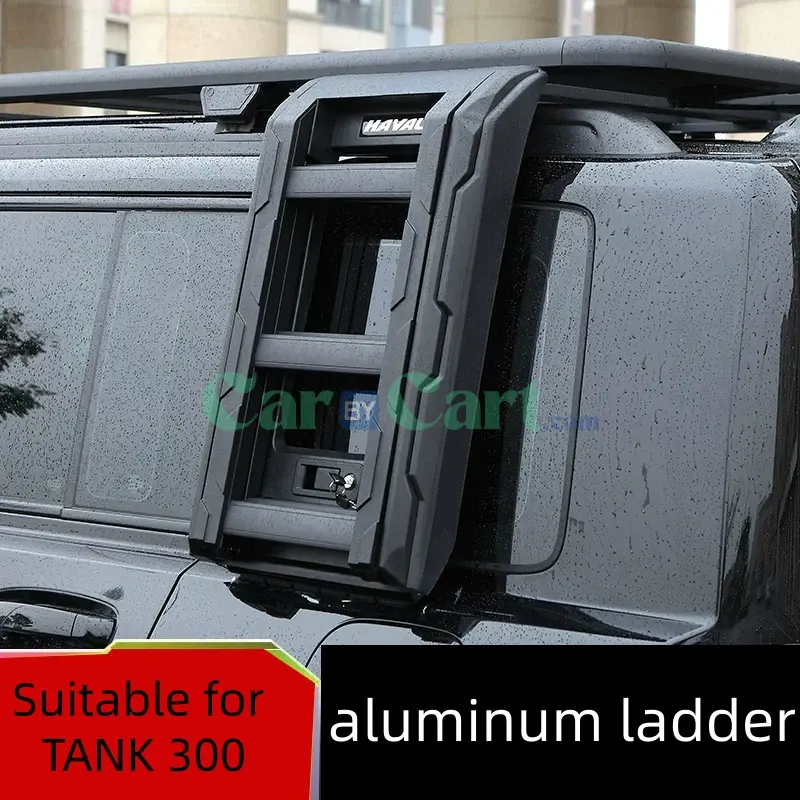 2025 TANK 300 aluminum ladder